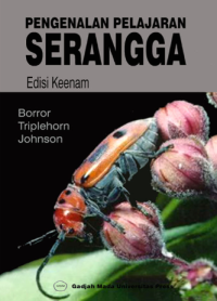 Pengenalan pelajaran serangga