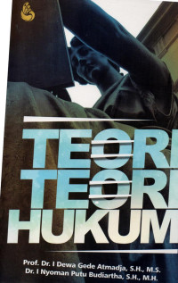 Image of Teori Teori Hukum